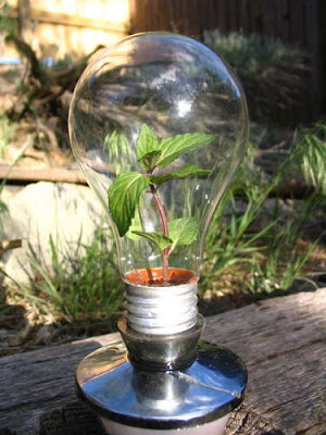 What You Can Do With Old Light Bulbs (30) 1