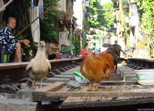 “Train street” between Tran Phu and Dien Bien Phu streets in Hanoi. 