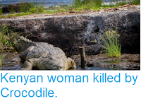 http://sciencythoughts.blogspot.com/2018/08/kenyan-woman-killed-by-crocodile.html