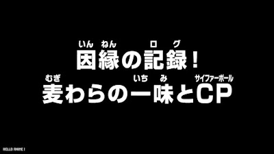 ワンピース アニメ 総集編 麦わらの一味とCP サイファーポール ONE PIECE Straw Hats vs. Cipher Pol