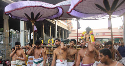 2015, Kodai Utsavam, Venkata Krishnan Swamy, Parthasarathy Temple, Thiruvallikeni, Triplicane,Day 02