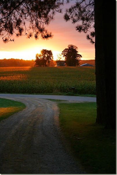 Sunrise-10
