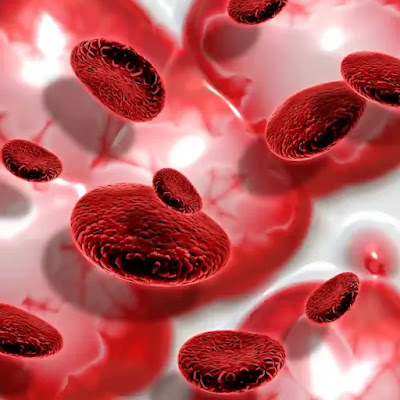 platelets high causes