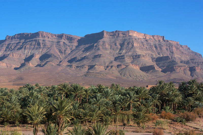 Oasis de Skoura