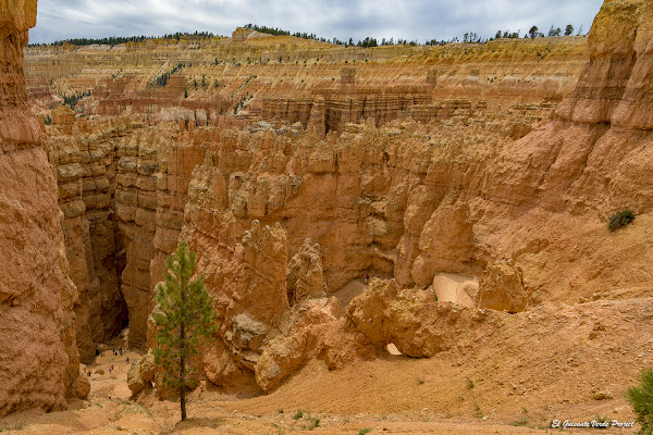 Bryce Canyon, descenso hacia 'Manhattan' - Utah, por el Guisante Verde Project