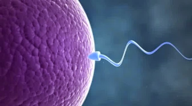 Kebiasaan Yang Bisa Menurunkan Jumlah Sperma