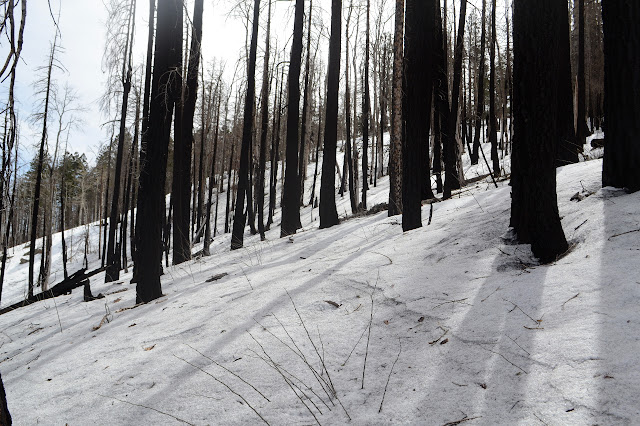 darkened edges of snow layers