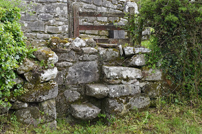 Saint Fortchern's Well and Oratory