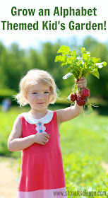 Plan and grow an alphabet themed kid's garden! Literacy and science