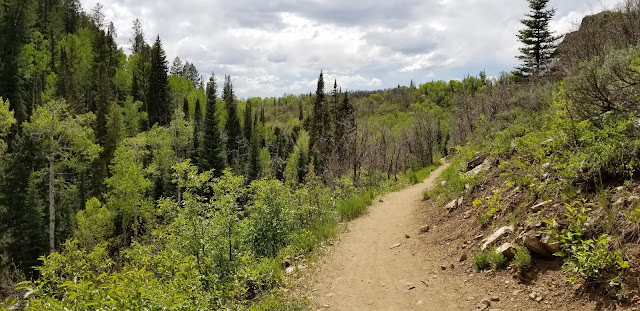 Steamboat Springs Colorado, bike