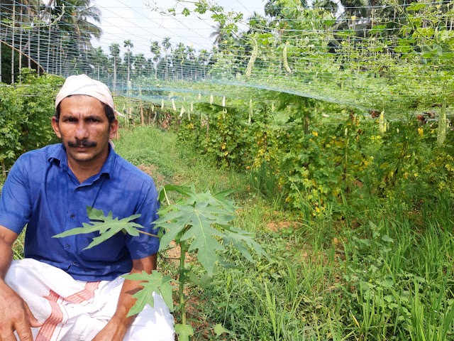 കാർഷിക സമൃദ്ധിയിൽ യുവകർഷകൻ, നേരിൽ വാങ്ങാൻ പ്രിയവുമായി ഉപഭോക്താക്കൾ