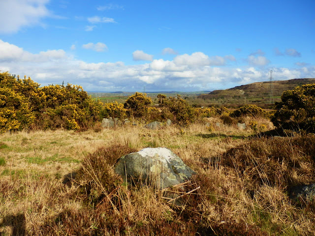 Heathland at Roche, Cornwall