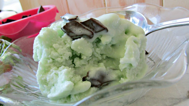 Mint Chocolate Chip Frozen Yogurt