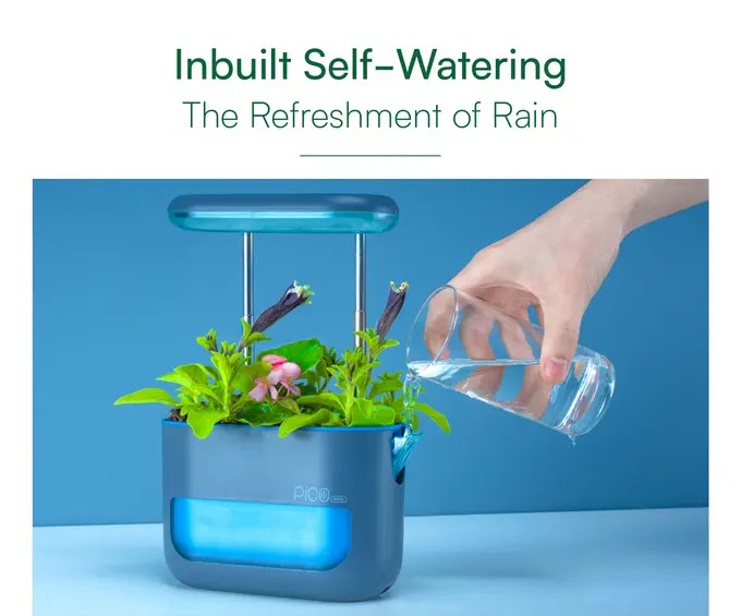 Pico Max_ Grow a Garden Anywhere