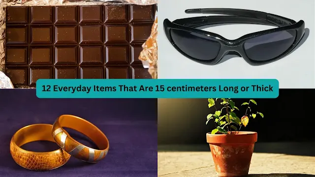 12 Everyday Items That Are 15 centimeters Long or Thick