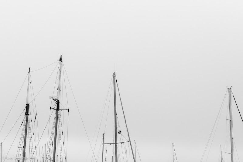 Portland, Maine ship masts black and white photo by Corey Templeton