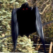 Mothman