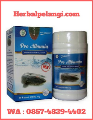 Jual Kapsul Pro Albumin Di Bengkulu Selatan | WA : 0857-4839-4402