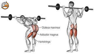 The 15 Best Barbell Strength Training Exercises for Men