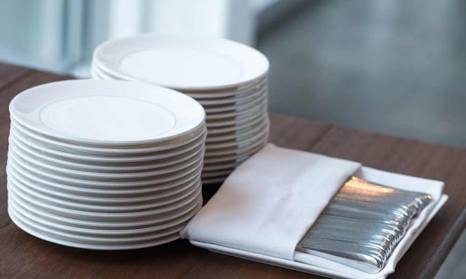 Buying Guide and FAQS about the dinnerware sets