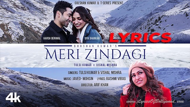 Meri Zindagi Song Lyrics | Tulsi Kumar, Vishal Mishra | Javed–Mohsin | Harsh Beniwal, Jiya Shankar | Rashmi V | Arif K