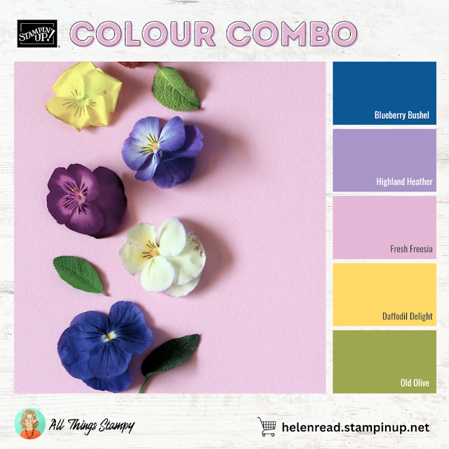 Stampin Up UK Garden Meadow colour combo