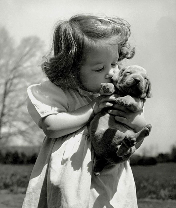 60 Inspiring Historic Pictures That Will Make You Laugh And Cry - Christina Goldsmith Kissing A Weimaraner Puppy From Her Father's Stock Of Weimaraner Hunting Dogs, 1950