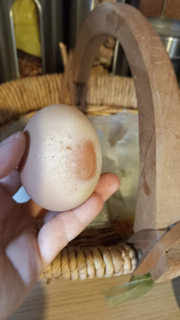 Uovo sbiadito, ruvido e con macchia scura