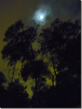 P1030350