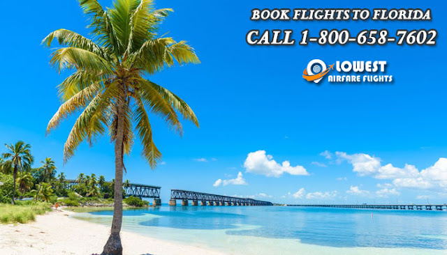 Book Flights to Florida