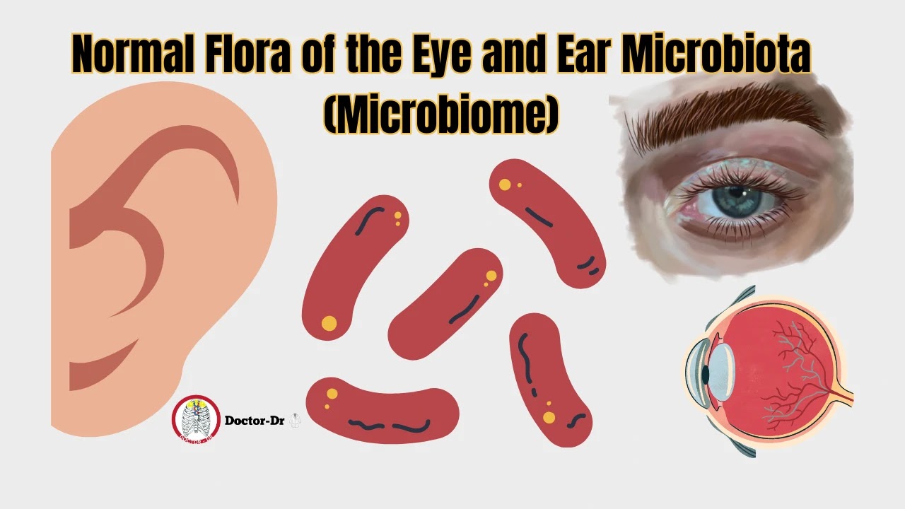 Normal Flora of the Eye and Ear Microbiota (Microbiome)