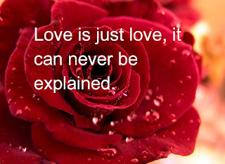 15. Valentines Day Quotes 2014 -new Latest Pictures