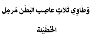 قصيدة: وَطاوي ثَلاثٍ عاصِبِ البَطنِ مُرمِلٍ