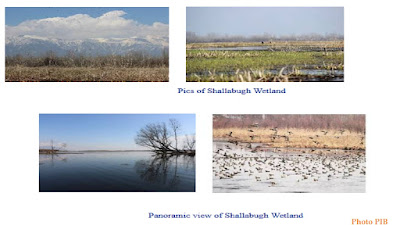 75 Ramsar Sites in 75th Year of Independence: India adds 11 more wetlands, Check List Here