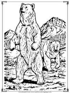realistic bear coloring pages for adults