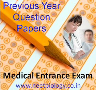 2018 NEET UG Biology Questions and Answers