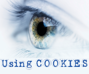 How to use cookies in javascript cookies with javascript, blogger tricks