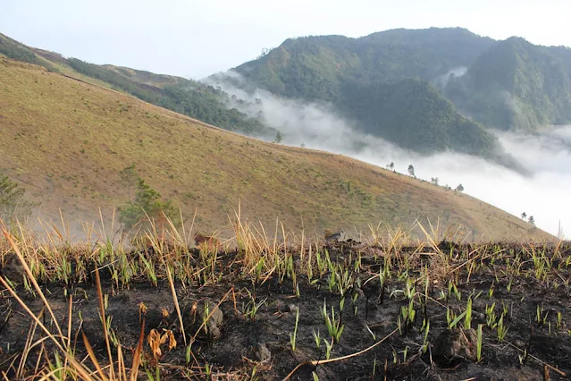 Gunung Guntur Garut