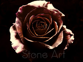Joshua Harman, Stone Art, Stone @rt, Canvas City, Art Installations, Stone Rose, Rose, Rose Prints, Art Prints, Digital Prints