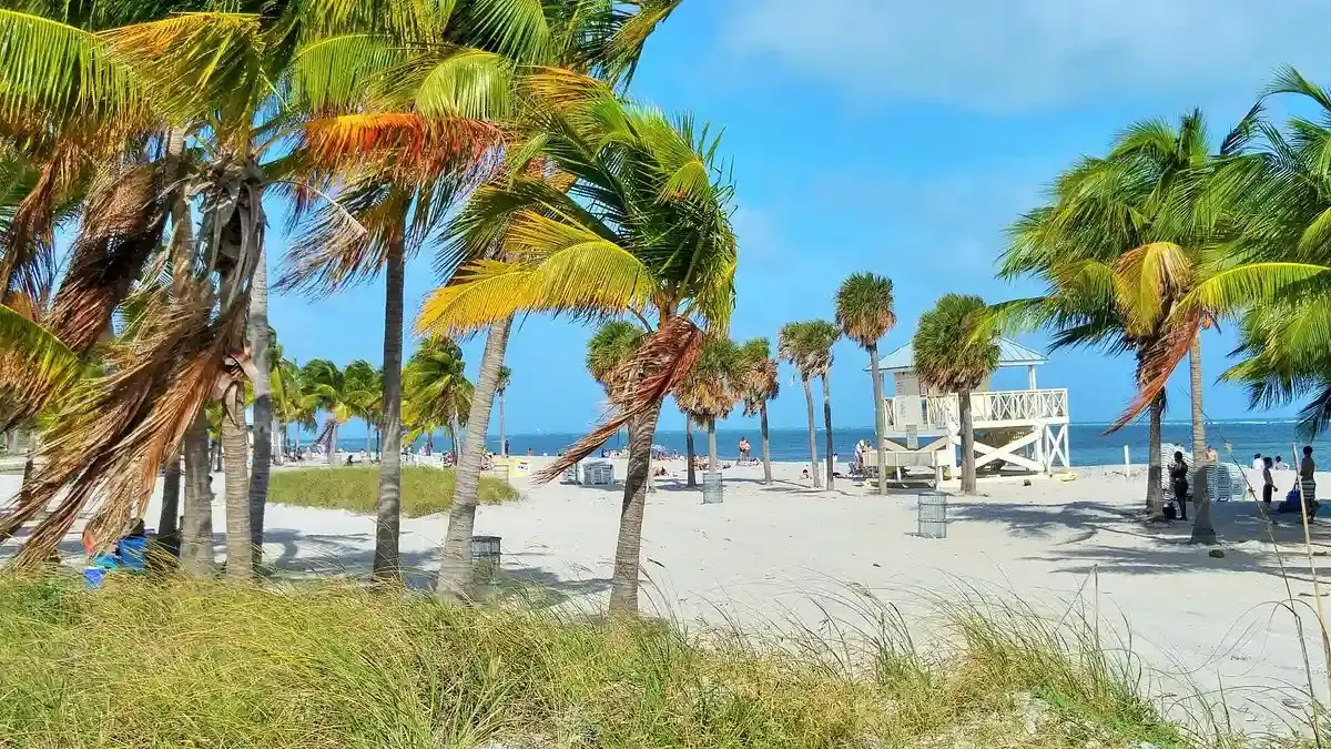 Crandon Park Beach: A Tropical Paradise for Kids