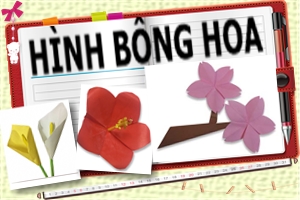 Hình Bông Hoa