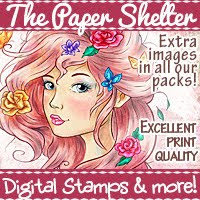 The Paper Shelter