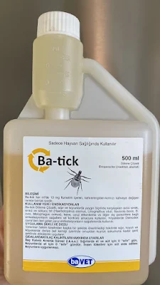 Ba-tick για την βαρρόα πως το κάναν οι παλιοί