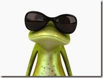 rana gafas de sol