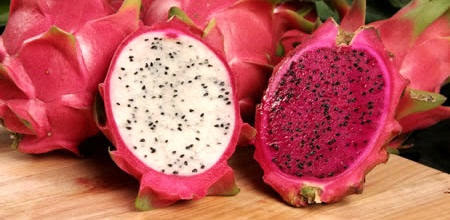 2 jenis dragon fruit