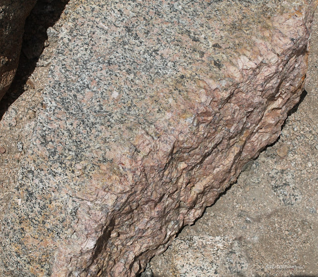 Mt. Evans Colorado geology travel trip fieldtrip Rocky Mountains copyright RocDocTravel.com