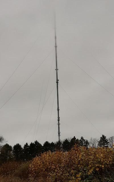 Waltham TV mast