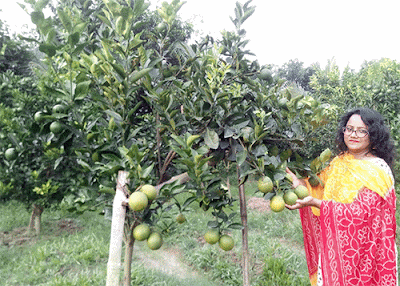 নওগাঁয় মাল্টা চাষে সফল নারী উদ্যোক্তা রিনা আক্তার