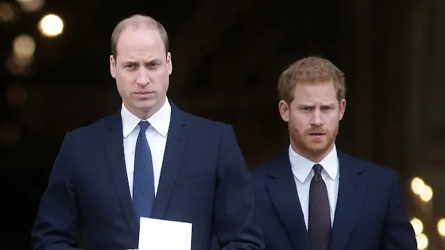 Prince William Opens Up About His Feelings Towards Prince Harry Reunion