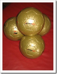 pelota oficial